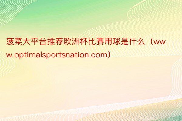 菠菜大平台推荐欧洲杯比赛用球是什么（www.optimalsportsnation.com）
