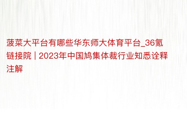 菠菜大平台有哪些华东师大体育平台_36氪链接院 | 2023年中国鸠集体裁行业知悉诠释注解