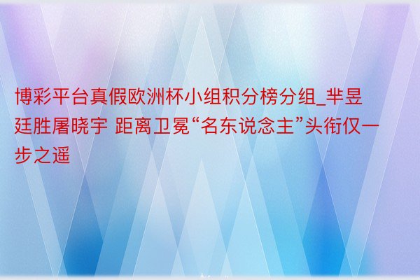 博彩平台真假欧洲杯小组积分榜分组_芈昱廷胜屠晓宇 距离卫冕“名东说念主”头衔仅一步之遥